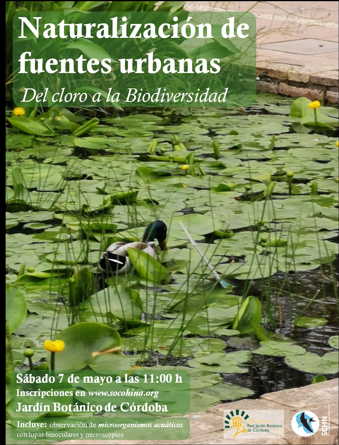 Naturalización de las Fuentes Urbanas